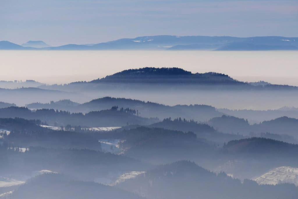 Ferienwohnung Schwarzwald Hinterzarten Kültér fotó