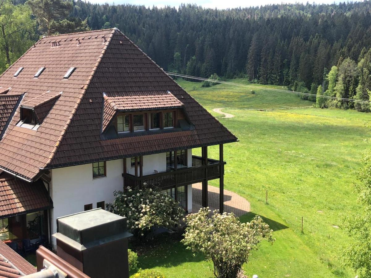 Ferienwohnung Schwarzwald Hinterzarten Kültér fotó