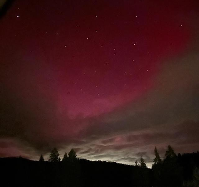 Ferienwohnung Schwarzwald Hinterzarten Kültér fotó